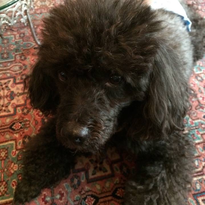 9e297697 6672 4031 a8d9 405393086ed7 1515197875676