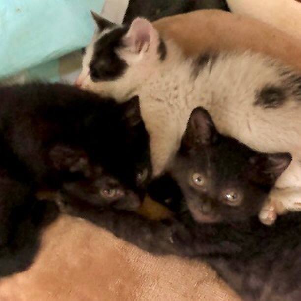 9e29a6ee 8bfe 4ca7 928d 31ed198f7d9b 1623896104948