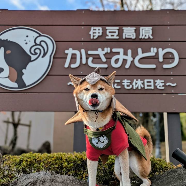 9e29c030 f185 4c3c 9f5d 73068a444b22 1766121053857