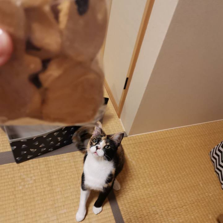 9e29fc71 4a5a 44ac a6c4 24709d864118 1605756729691