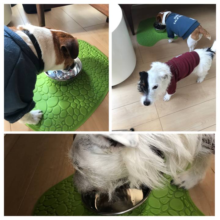 9e2a0bd2 a36b 4532 a3ca 5d4b98d71255 1519688632983