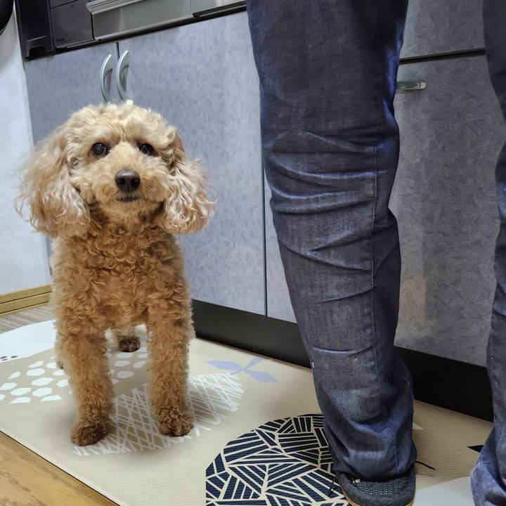 9e2a5225 7d72 4707 a787 ec1e98b72fa8 1766705622234