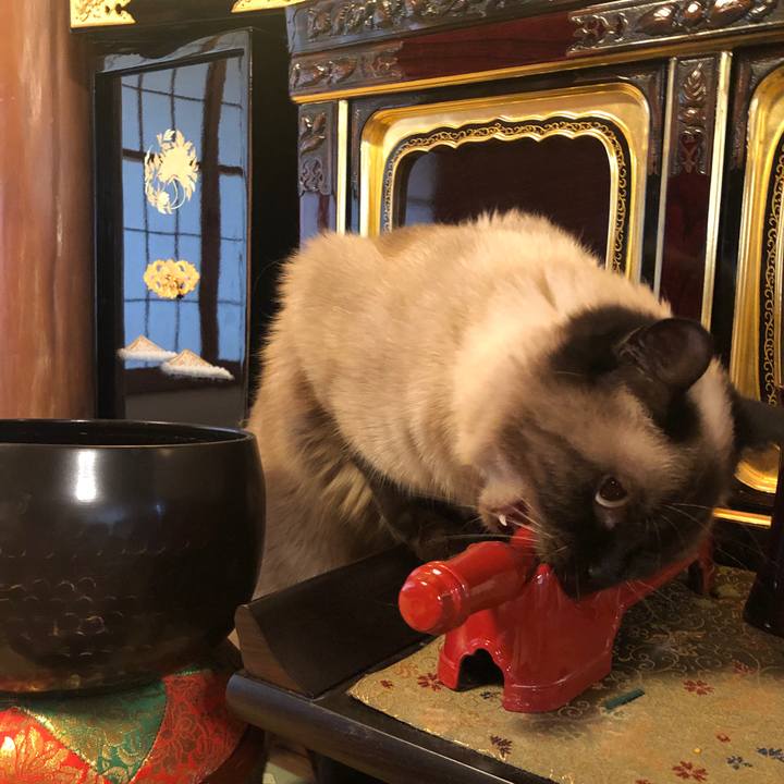 9e2a9cc6 6a9d 4881 b298 3f57f49a5d84 1625364586993