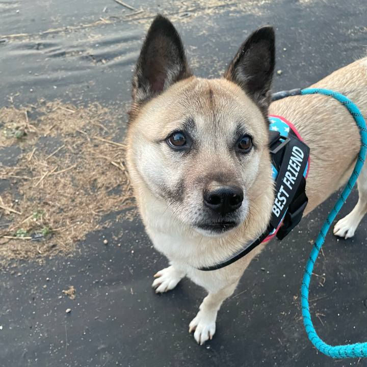 9e2ae4b5 64d0 4da7 be61 bbfbef256c58 1707913241642