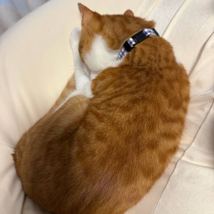 9e2b0460 7db2 4d62 8573 ec9825fe3706 1763905568771