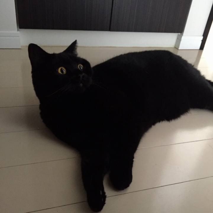 9e2b4b2f 3076 47ef 8a2a 725a7344f7f5 1537740573429