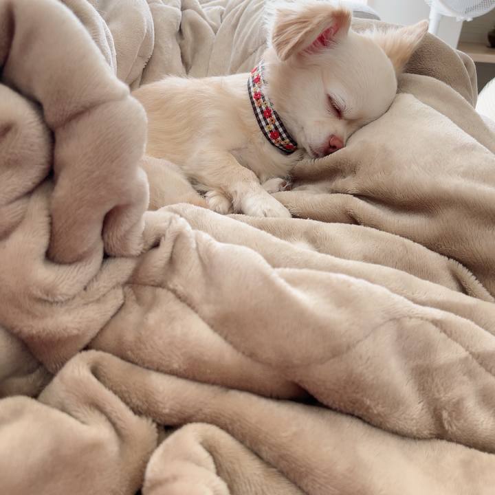 9e2ba308 d651 48a4 9e57 7c1b3a15a7a1 1725870177897