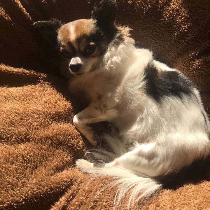 9e2bb720 57f5 442b 8f98 4c56a4b4abd6 1608869495662