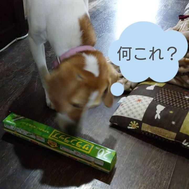 9e2bda71 f4aa 495b a5fd 39cb8f85bc6a 1585287508830