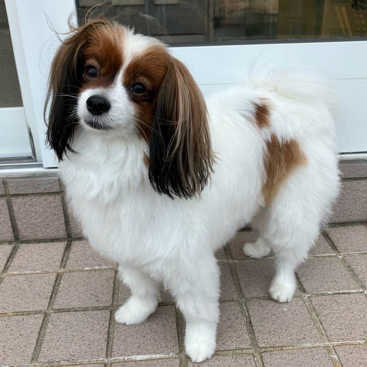 9e2bf614 e7bf 4428 9fac 415ca2f62c1c 1720257857842