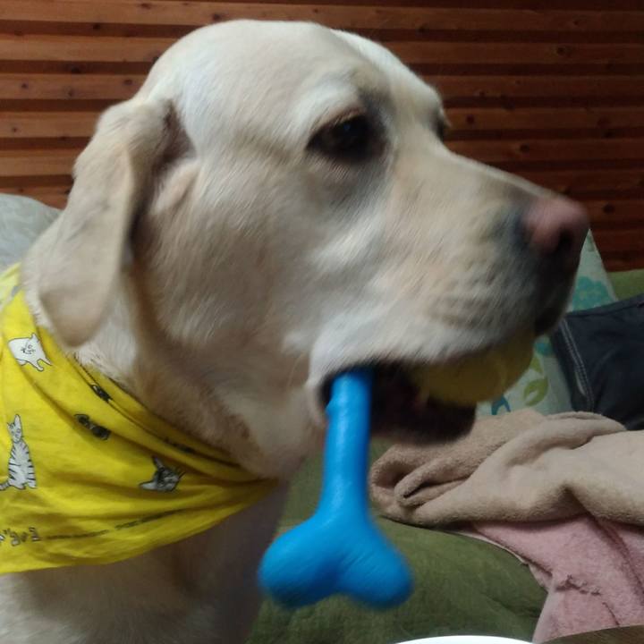 9e2c1662 aa20 4732 a629 0f6acc22872f 1518180398062