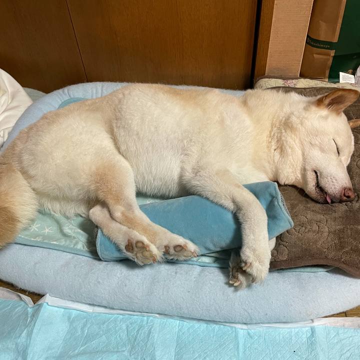 9e2c2fc9 48cf 463d afe5 430038a8a350 1633874645560