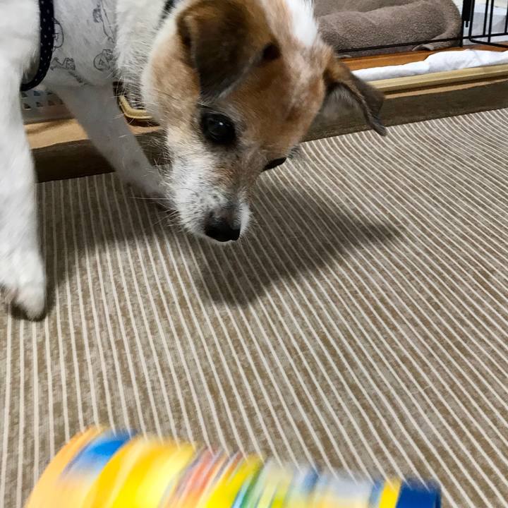 9e2c3438 af8c 43b4 b02c 5af6cf8b0595 1601274432385