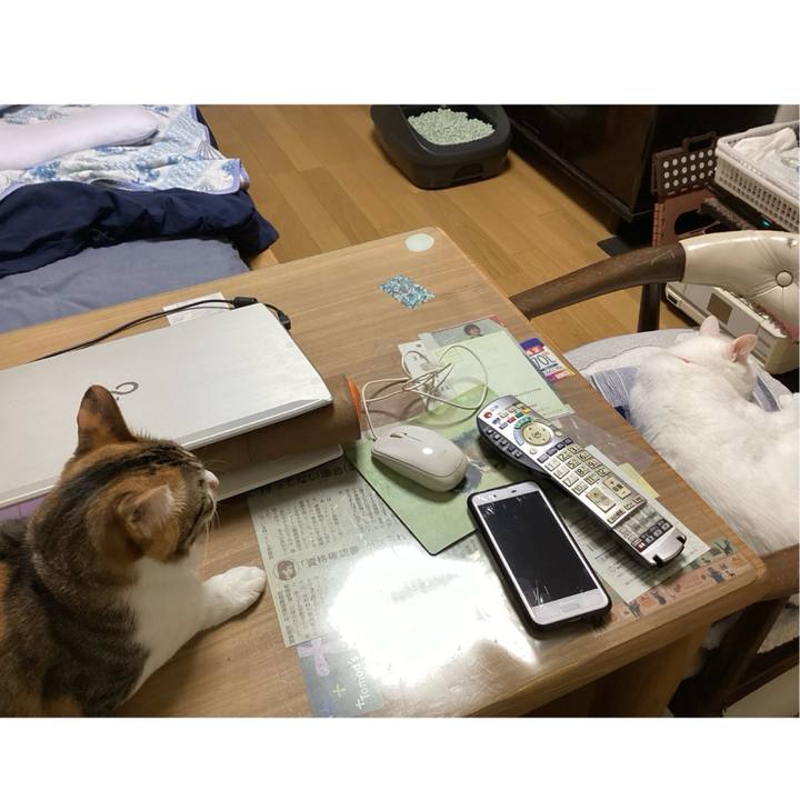 9e2c3a15 8ae2 41d3 99f2 b3c44575105f 1717398864922