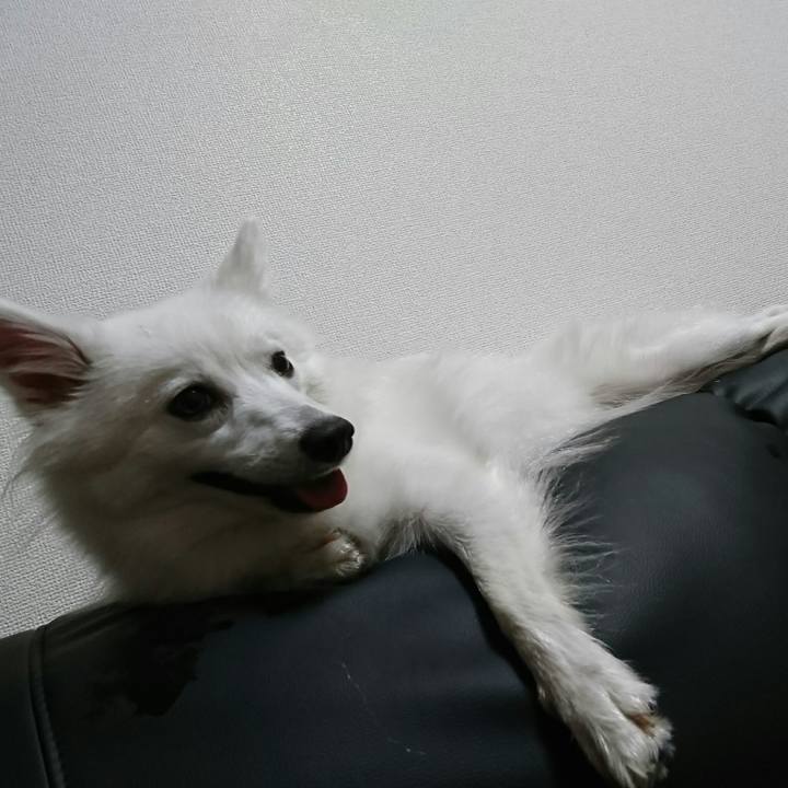 9e2c6a50 9af7 48c2 8e9a 737ecbedcf66 1508916570920