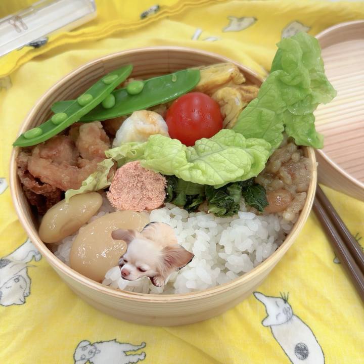 9e2ca4f7 e262 4314 89a6 d14803a113ec 1709798163973