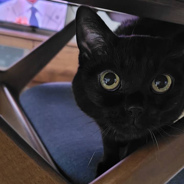 9e2cc7df feda 4c65 a0da 67134f2a951e 1769769092683