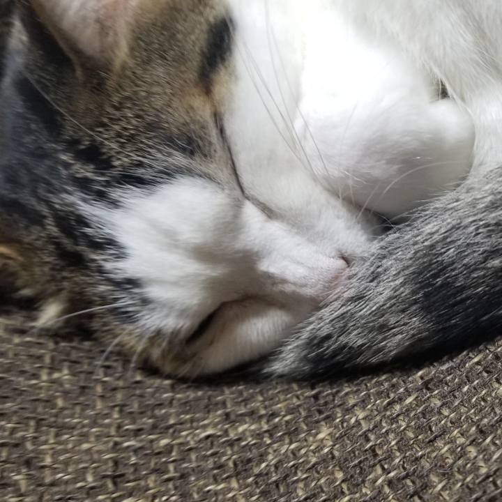 9e2cf1a5 5d58 474c 91f8 59a90b4d8e88 1556628707481