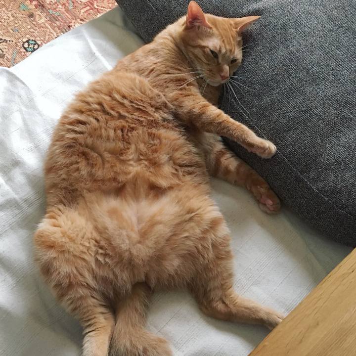 9e2cf22d 1673 418e afe5 3b6cff45e3ca 1538525200352