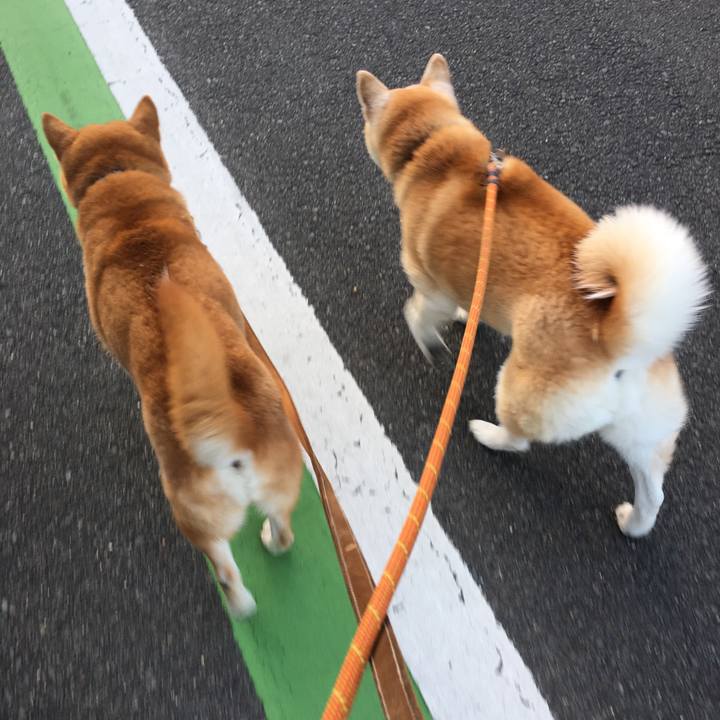 9e2cf832 d9f5 4ddc ba58 feca376386c7 1518993504108