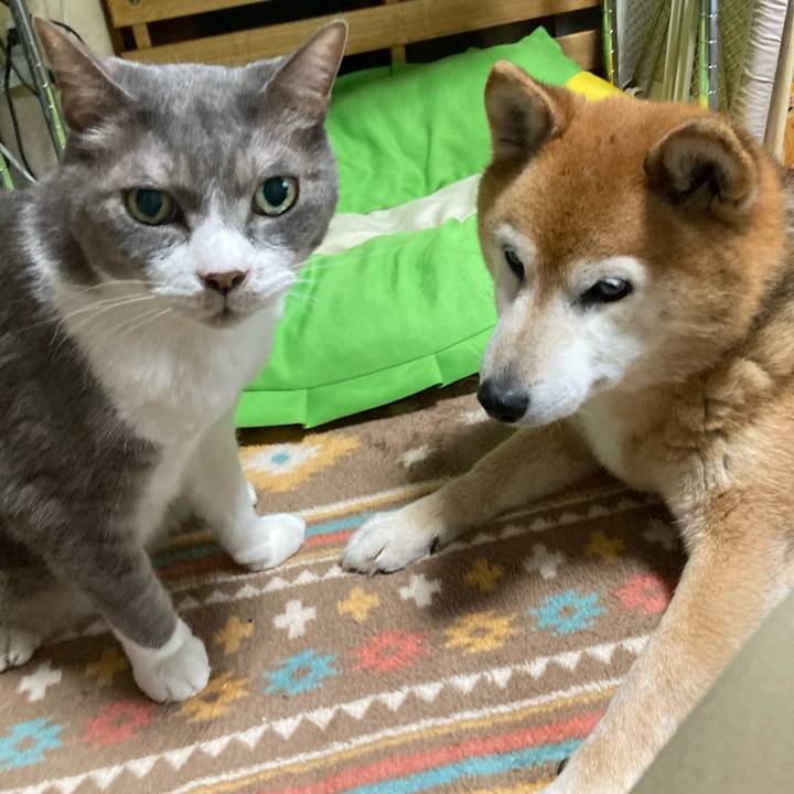 9e2d809a 5d3f 4212 9a21 c5007183b6c1 1748954672187