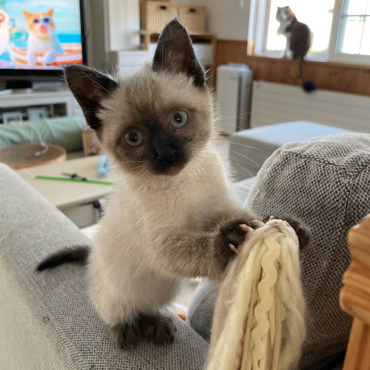 9e2d89e6 160a 42cb a8fc ac87e6f1d212 1687408820475