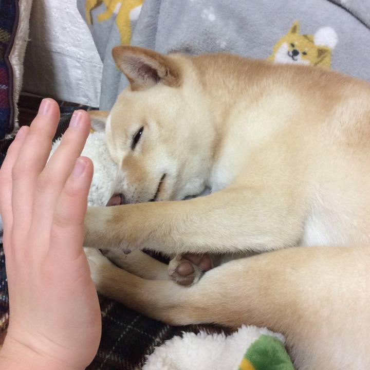 9e2d93af 4a1d 44d0 9aca 70355b5fad89 1516105970211