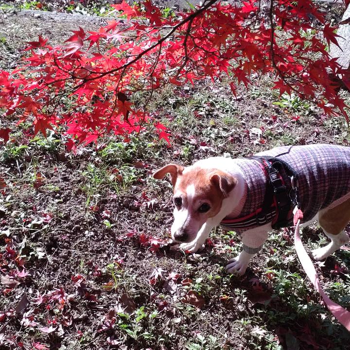 9e2da9f9 6d96 4502 a55f 9c1e053ac9f4 1764385457049