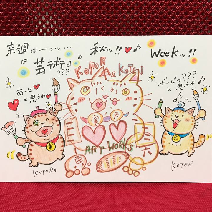 9e2dbf81 b809 488a 9e9d cb1978642c5d 1571580183087