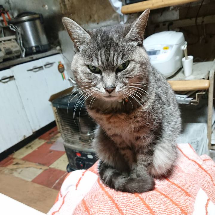 9e2dccde afd6 4560 83cc 151c700fb768 1584390904700