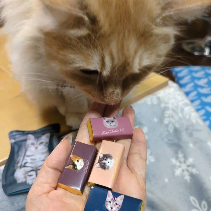 9e2dd7c7 19b7 413a b6e4 08c567078c82 1743327073309