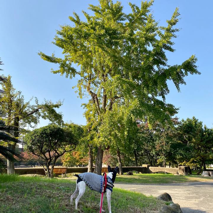 9e2e2b42 c459 45b5 b404 f031e733026c 1573868061699