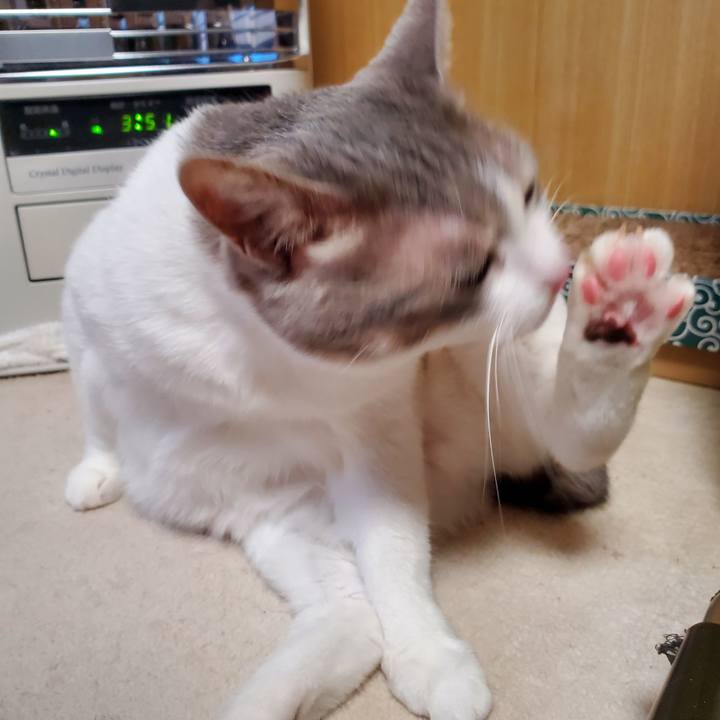 9e2e6a57 86d3 42ef a17e c59fd1ee8930 1704382271095