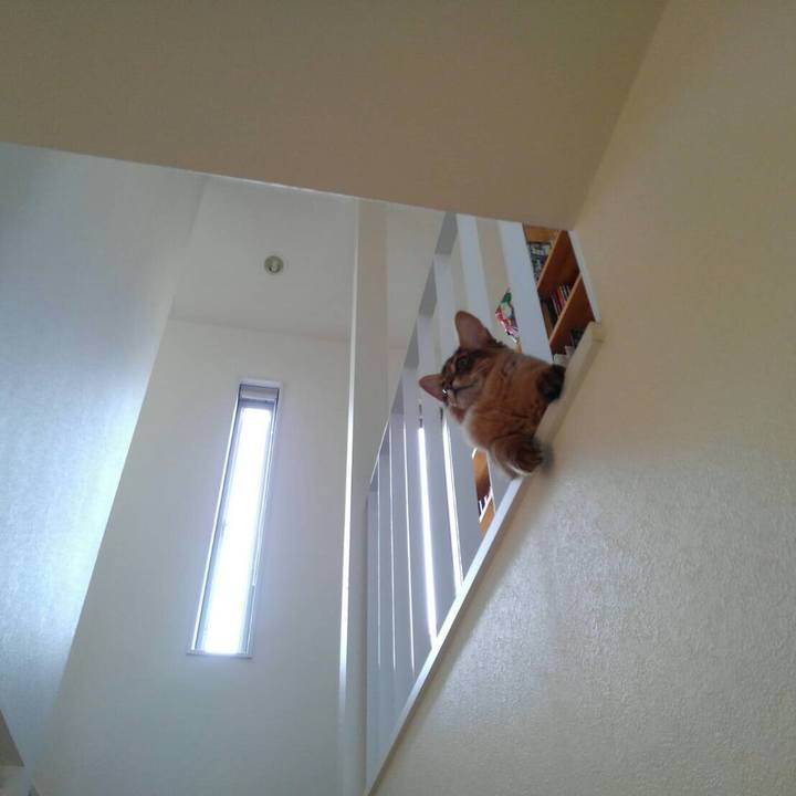 9e2e8c01 451c 48b5 bad9 9020be8f5075 1577437010219