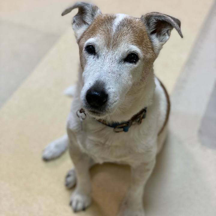 9e2e8c3d 7fc9 4696 87c2 2f30cec2022a 1638485397477