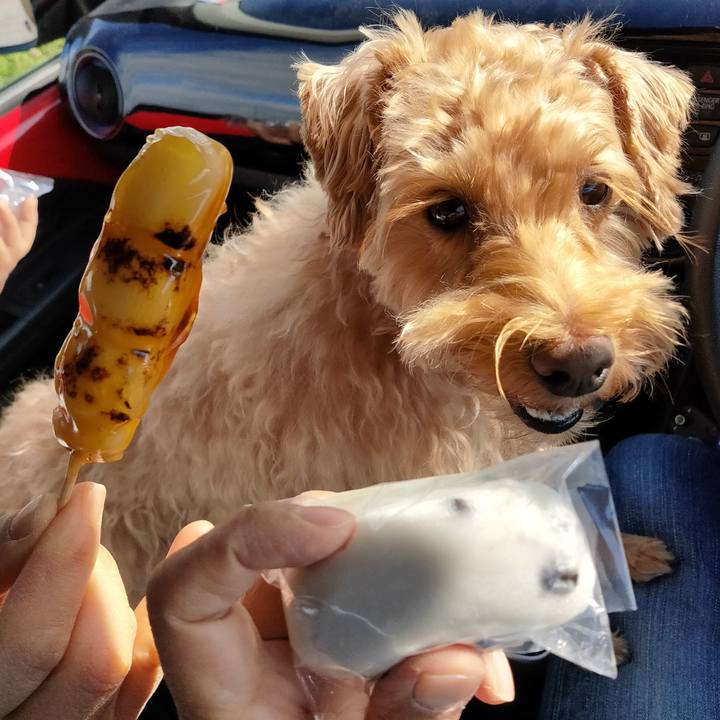 9e2eb34c 77e7 4f28 aab4 322d11650f9f 1604013583769