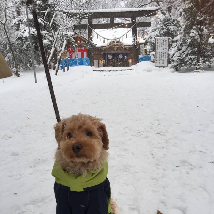 9e2ebb69 34e7 43b0 9f73 6c3e588bd691 1514771954308