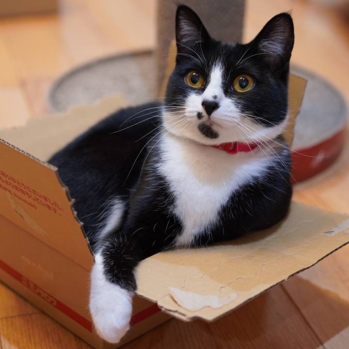 9e2ec578 877e 403c 9596 eb50732bd188 1619100039823