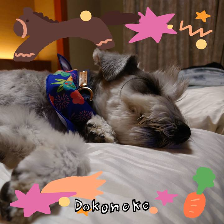 9e2ef005 50fa 474b 8dc5 8ceaf1d0bce1 1772448139080