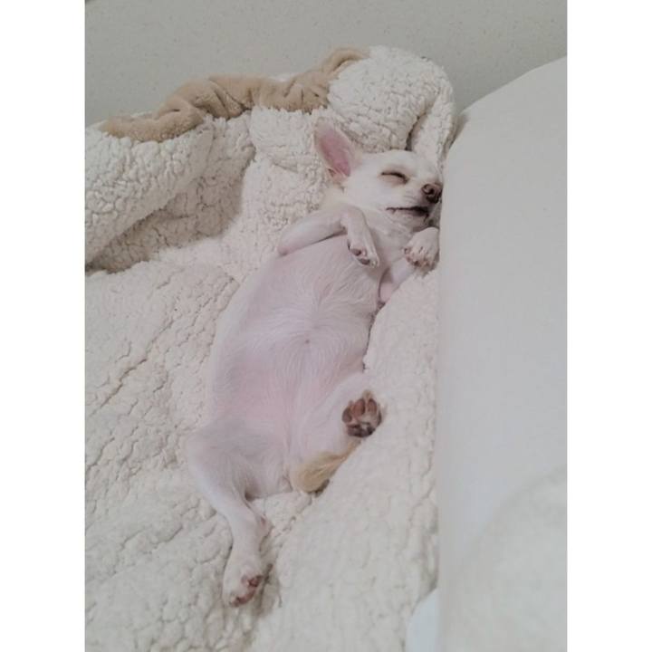 9e2f449c c16c 4007 9a67 5e3f9deebd04 1722868520445