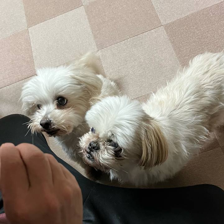 9e2f6cd9 5851 4f2f b53a 3d7c7c9008fe 1649413950574