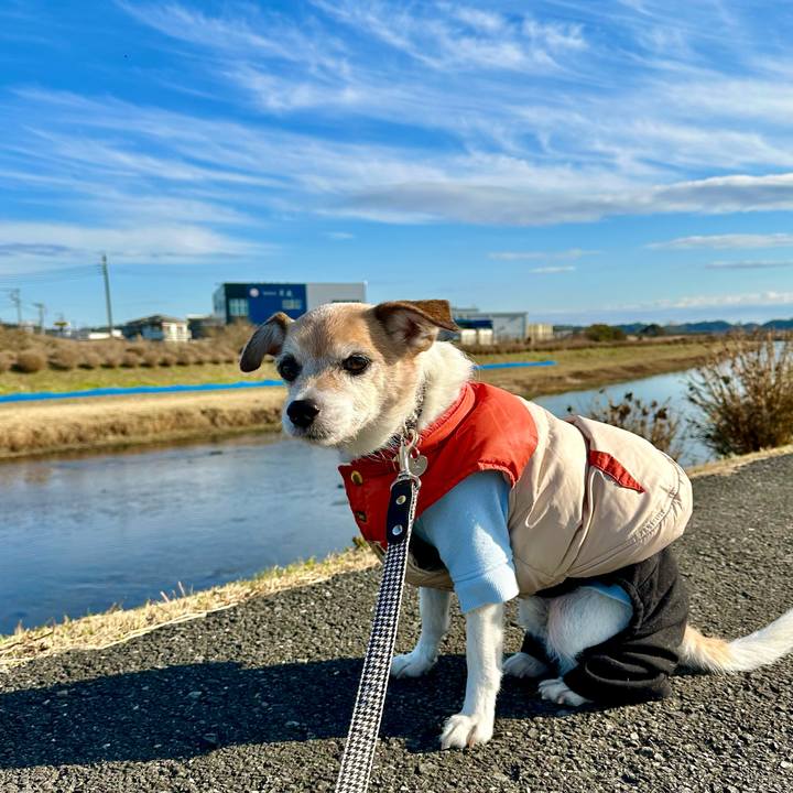 9e2f7f71 6a4e 461f bb1a fc47985f04c0 1674295868757