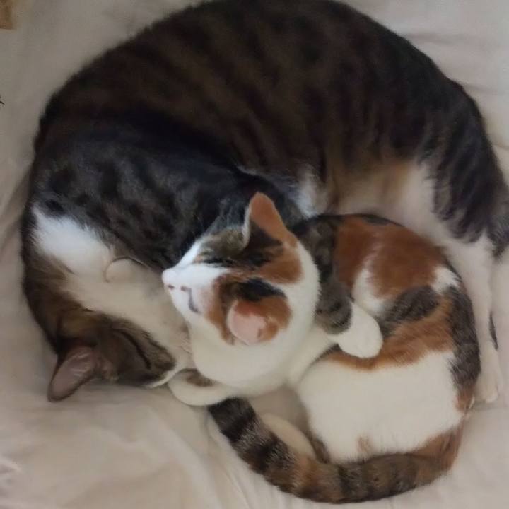 9e2f7fe6 d730 4dfe 81e8 49a6536151ae 1664635797013