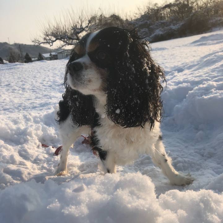 9e2faf18 0e01 41b8 9572 83f985254a09 1547001287689