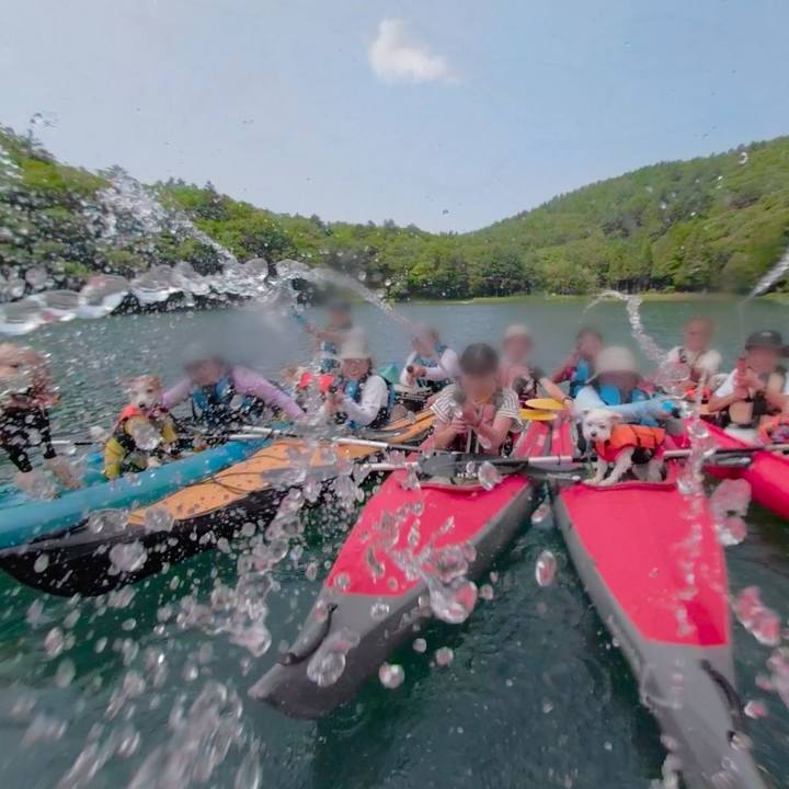 9e2fb4f9 4bdb 4d76 b35e e2f40531e6dd 1565040889833