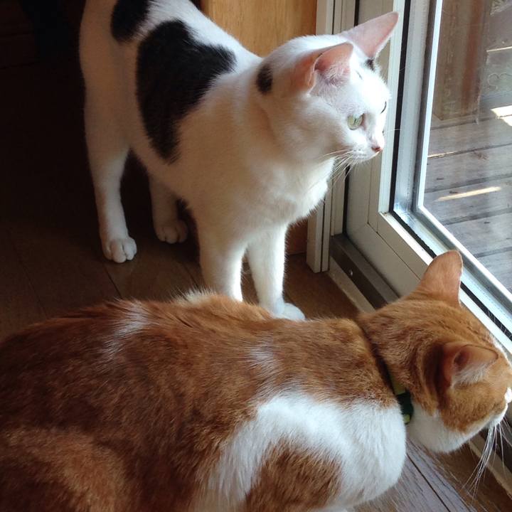 9e2fc774 8f04 467b 87a1 4de655e247b5 1507939709975