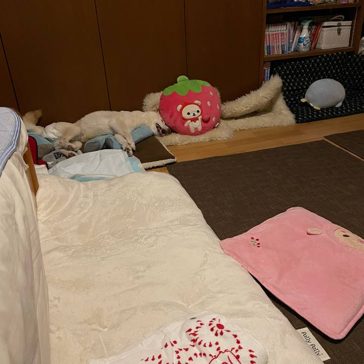 9e300974 af34 404a b537 89899a856d23 1663594092892