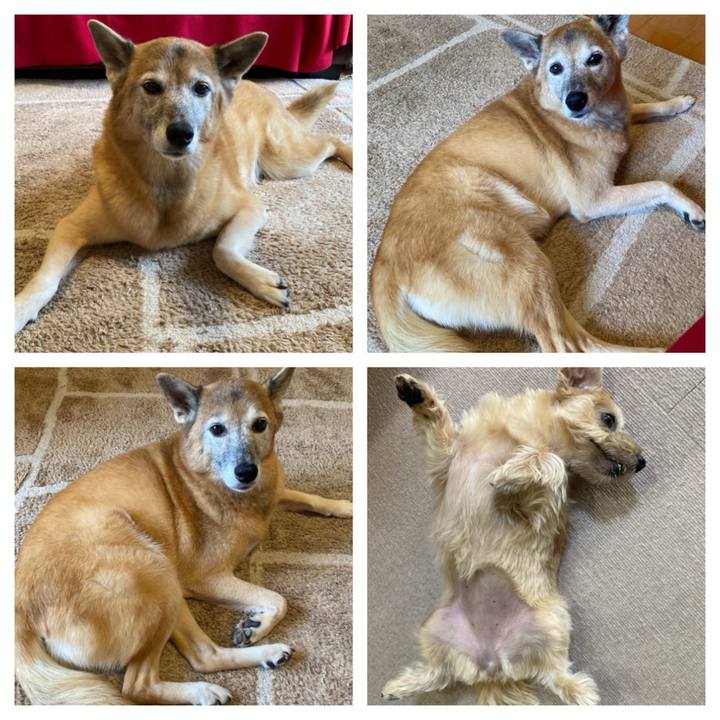 9e304930 6439 4e4a b2d7 03cbc2d62695 1760846791084