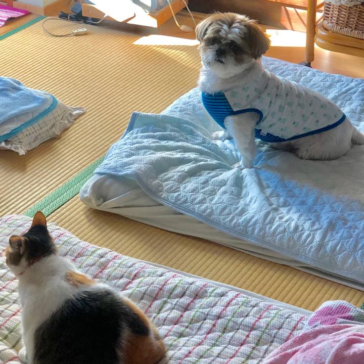 9e3066bf 8560 400b b7a2 5729dc86c1cd 1538195089853