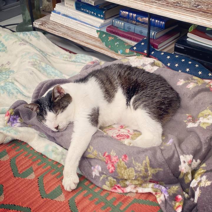 9e30aca1 df23 474a 933a b744eeeaecd2 1619330770976